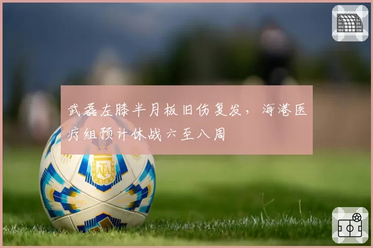 武磊左膝半月板旧伤复发,海港医疗组预计休战六至八周