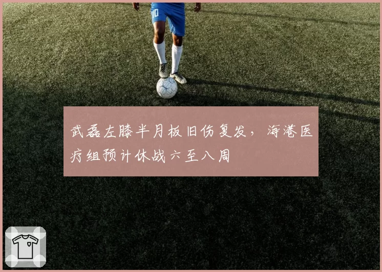 武磊左膝半月板旧伤复发,海港医疗组预计休战六至八周