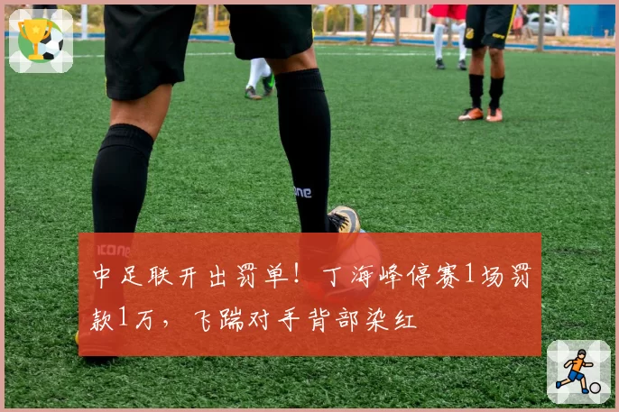 中足联开出罚单！丁海峰停赛1场罚款1万，飞踹对手背部染红