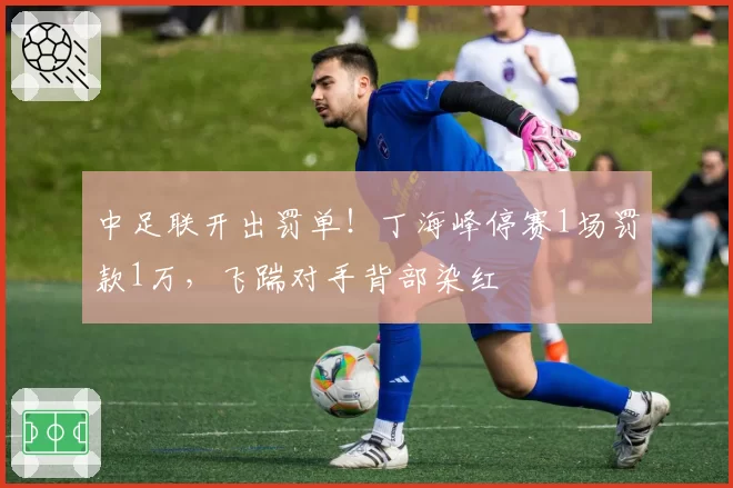 中足联开出罚单！丁海峰停赛1场罚款1万，飞踹对手背部染红