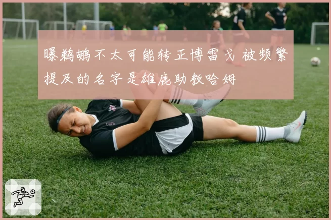 曝鹈鹕不太可能转正博雷戈 被频繁提及的名字是雄鹿助教哈姆