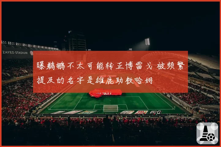 曝鹈鹕不太可能转正博雷戈 被频繁提及的名字是雄鹿助教哈姆